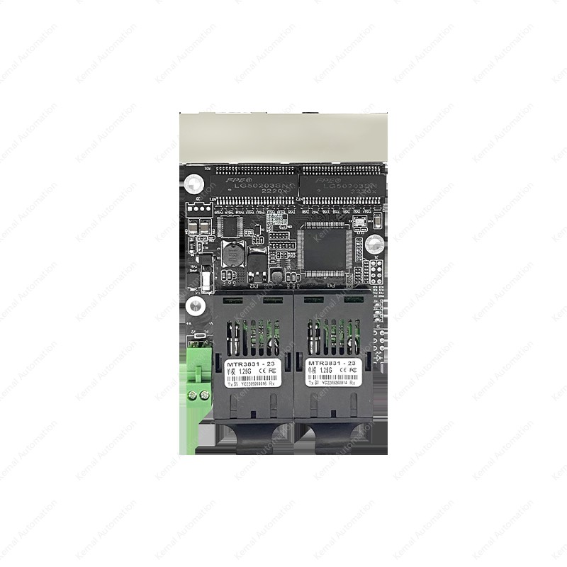ESM206G-2GF-4GT